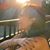 Nicole Vorasane's profile image