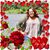 Romena Primas's profile image