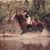 Judy Olcott's profile image