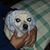 Jeff Kalal's profile image