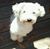 Patricia Graham's profile image