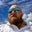 Robert Beatty's profile image