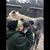 Katie Sturgill's profile image