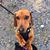Tracey Hayes Hight's profile image