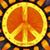 Sandy Barbero's profile image