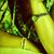 Debbie Ardemendo's profile image