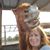 Linda Lynn Escher's profile image