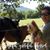 Sherri Malone's profile image