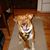 Donna Erdman's profile image