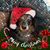 Linda Bonia Lianos's profile image