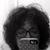Rose Boccardo's profile image