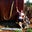Emily Armstead's profile image