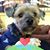 Michelle Pearce Merritt's profile image