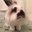 Kristin Weis's profile image