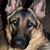 Linda Cain's profile image