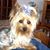 Maurine Spinato's profile image