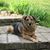 Walter Volz's profile image