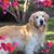 Melinda Bungartz's profile image
