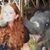 Sandy Armstrong Angstadt's profile image