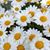 Kim Anderson Freel's profile image