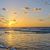Cindy Powell-Brison's profile image