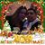 Jennifer Jose Potenza Flores's profile image