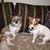 Mary Bost's profile image