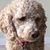 Mark Ulrich's profile image