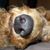 Monika Ealey's profile image