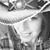 Cyndi Robinson's profile image