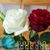 Truong Cao's profile image