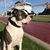 Debra Hartman's profile image