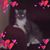 Terry Banks's profile image