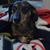 Nancy Belanger's profile image