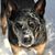 Kimberley Augeson's profile image