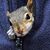 Karen A Rott Rott's profile image
