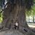 Carmen Montes's profile image