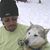 Ken Haggett's profile image