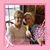 Kathy Kellen Nilles's profile image
