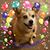Paula Rusty Anderson Westeren's profile image