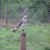 Kathy Fahey's profile image