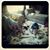 George Ehlers's profile image