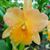 Barbara Broadhurst's profile image