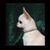 Bobbie Harper's profile image