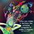 Sherwood Sundari's profile image
