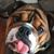 Lori Ravelli's profile image