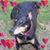 Kathryn Hayslip's profile image