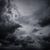 Alysia Leonhardt's profile image