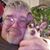 Harry Cometto's profile image