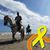 Raul Andreu's profile image
